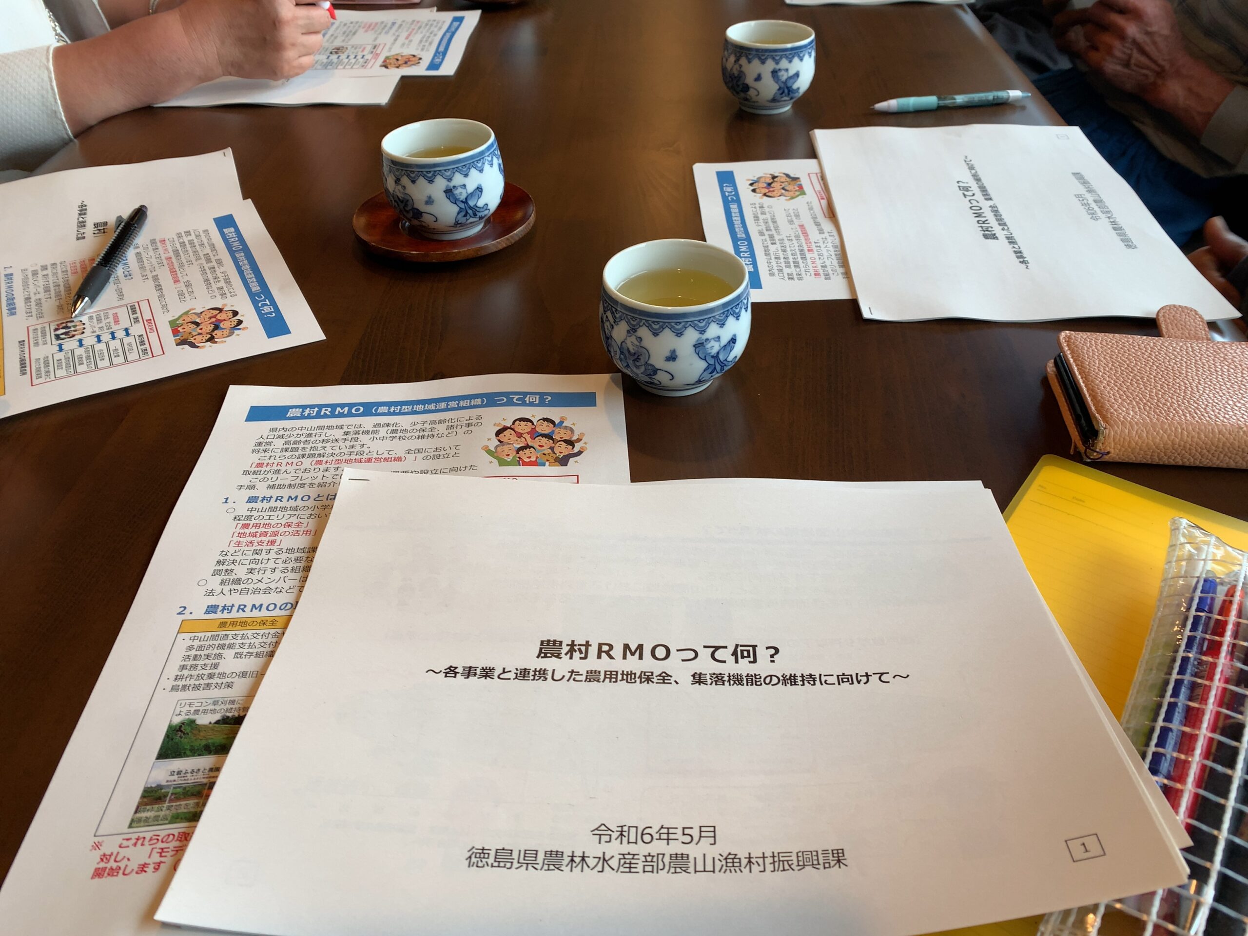 中国農村の集住化 山東省平陰県における新型農村社区の